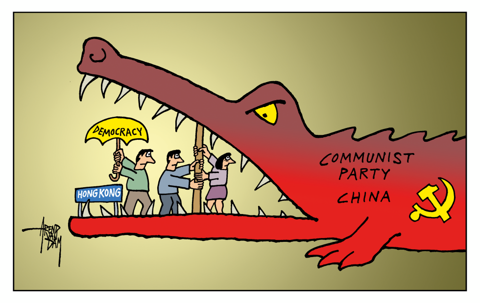 China crocodile