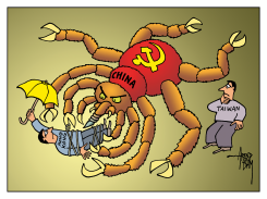 CHINA BIG SPIDER by Arend Van Dam