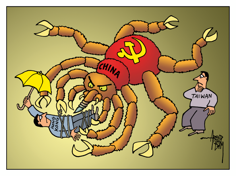 China Big Spider