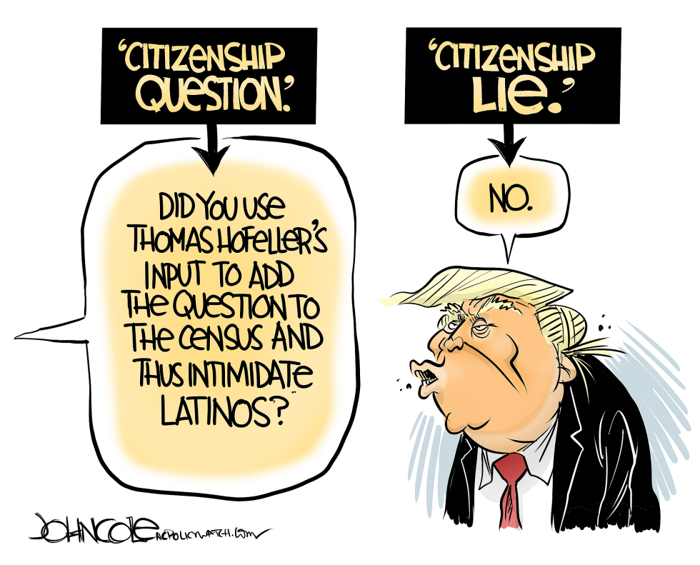 The citizenship lie