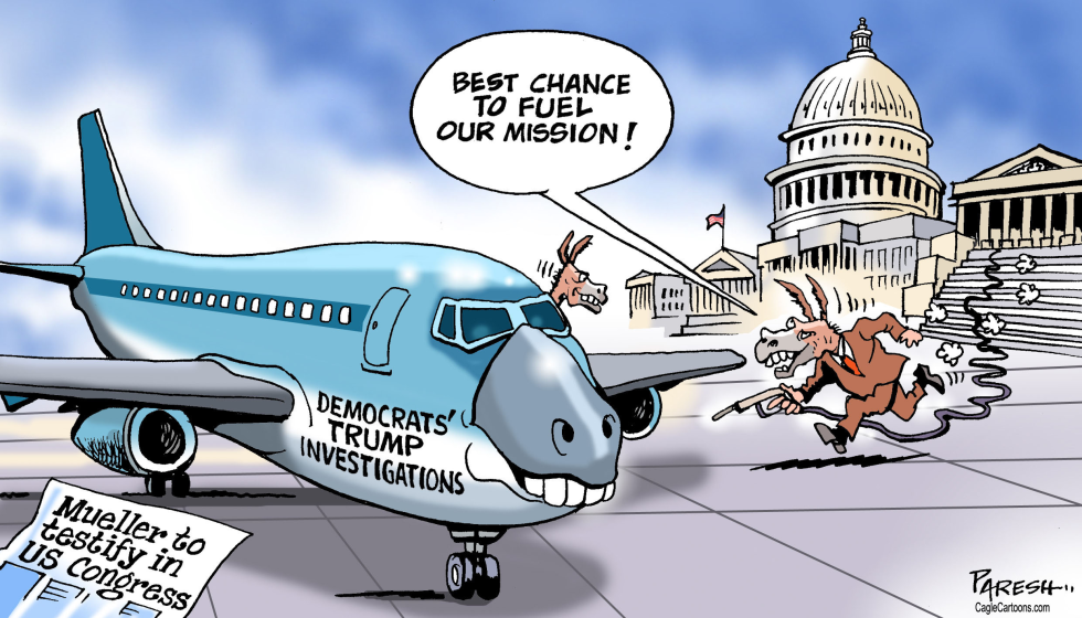 MUELLER AND DEMOCRATS by Paresh Nath