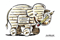 CITIZENSHIP QUESTION by Jimmy Margulies