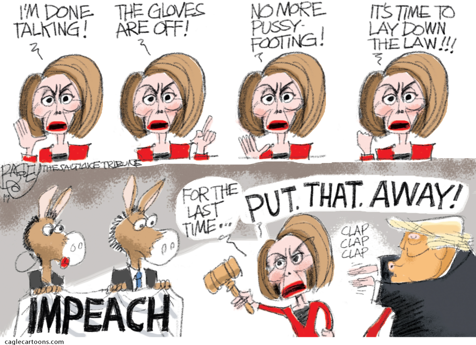  PELOSI POWER by Pat Bagley