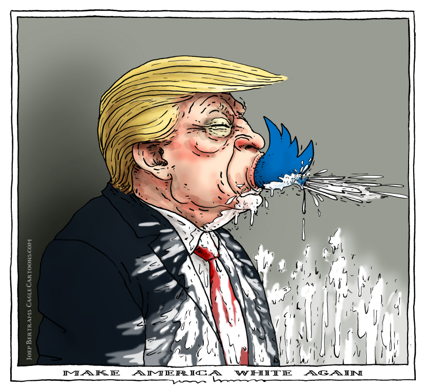 make america white again