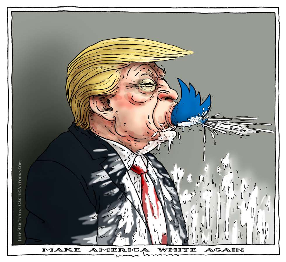 make america white again