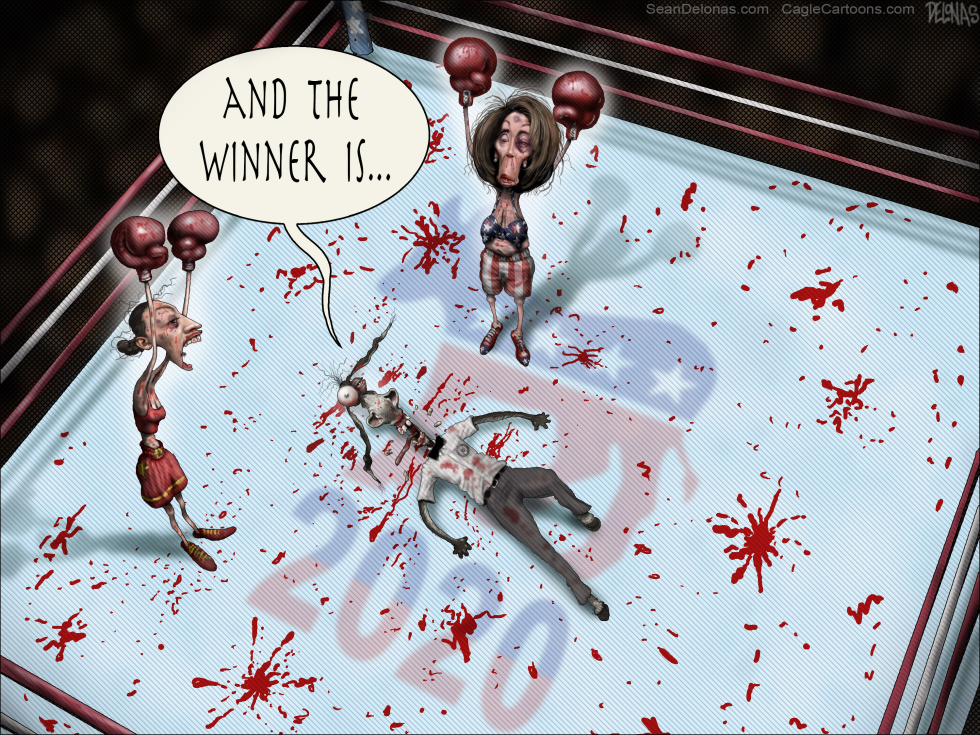 Democrats boxing