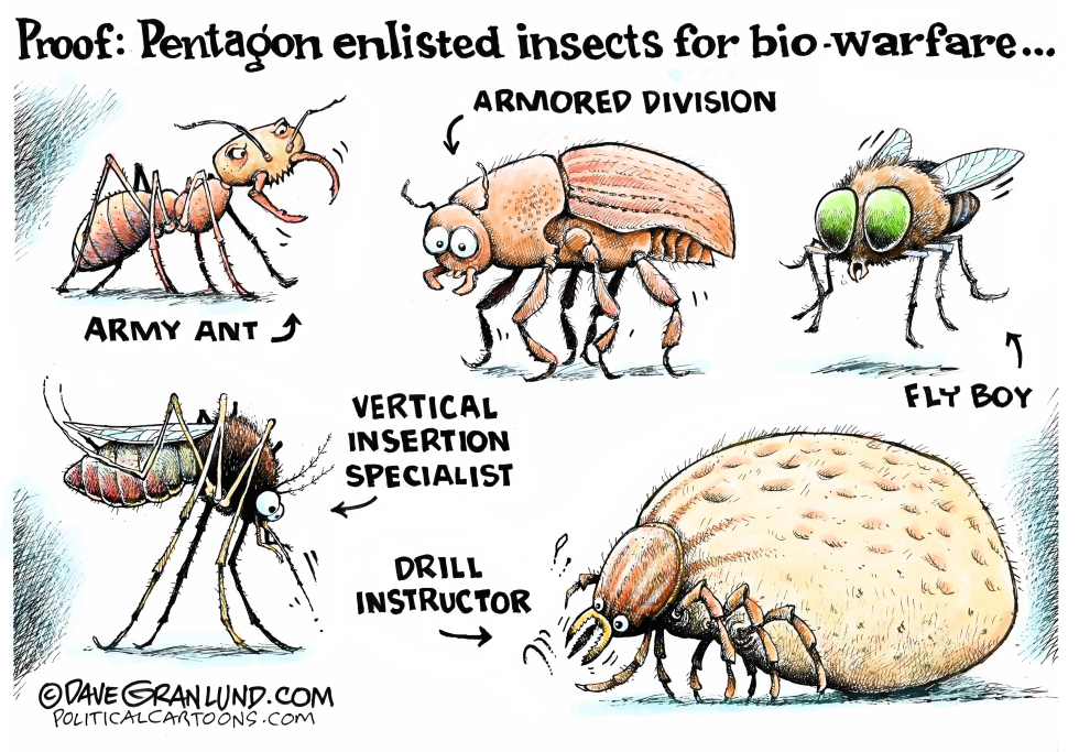  PENTAGON AND INSECT WARFARE by Dave Granlund