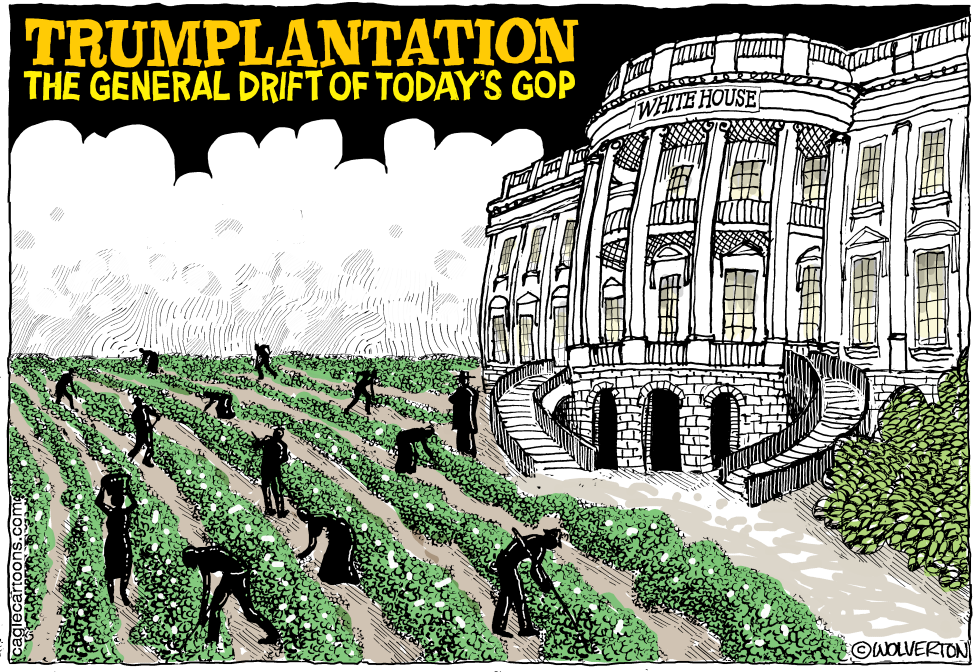  TRUMPLANTATION by Wolverton