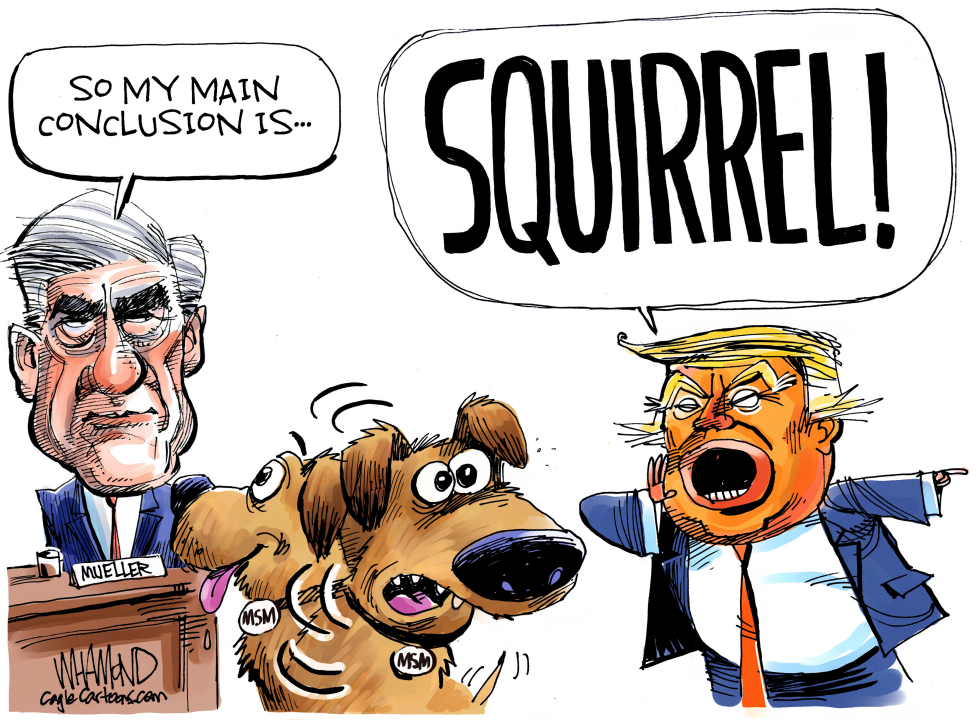 Mueller Distraction