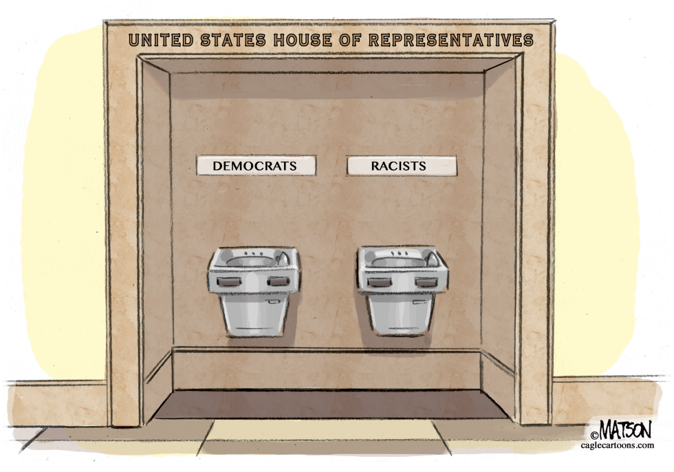 New Partisan Divide in Congress