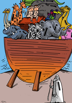 NOAHS ARK BANK by Oguz Gurel