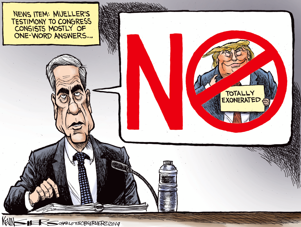 Mueller Before Congress