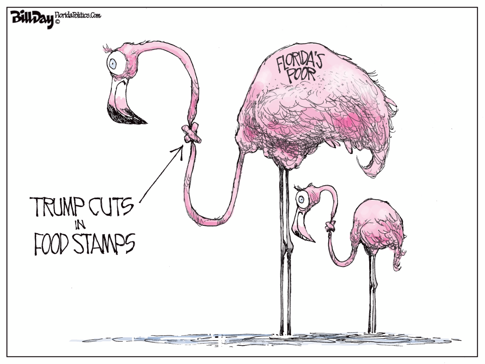 Food Stamp Cuts