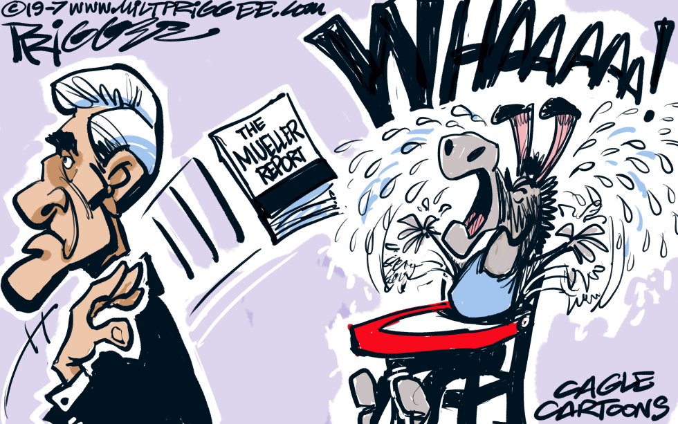Mueller Testimony