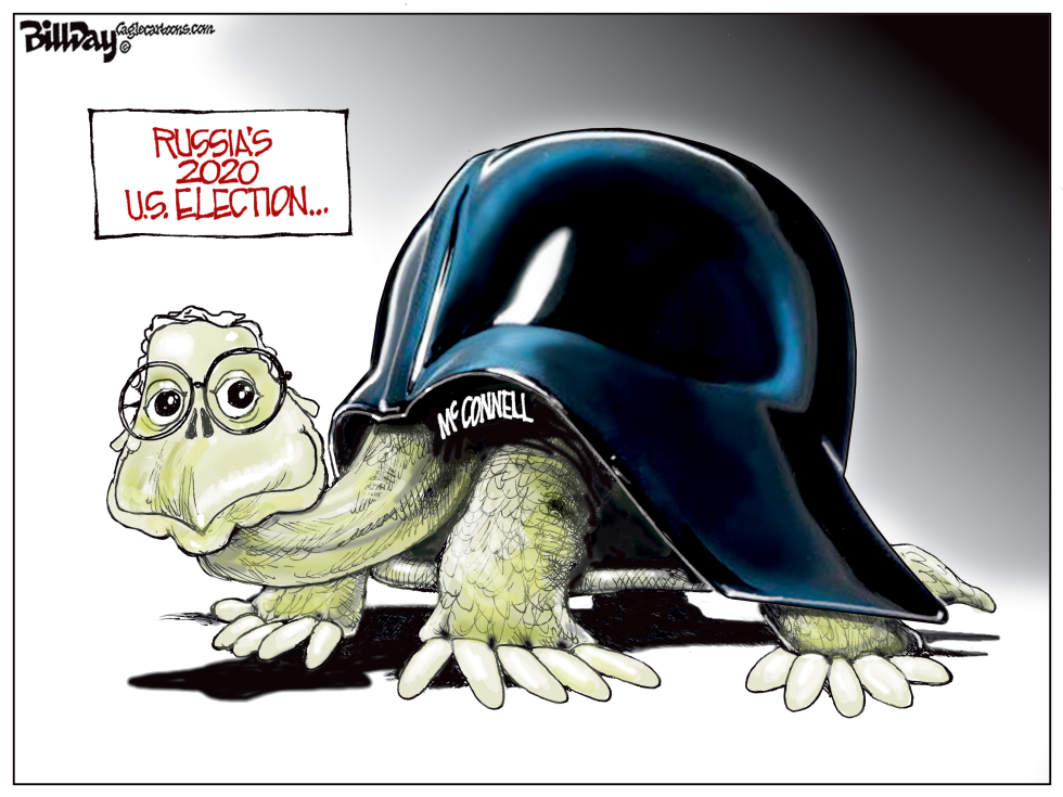 The Turtle