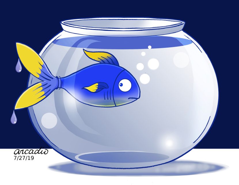 Strange fish tank