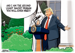 SECOND LEAST RACIST PERSON by R.J. Matson