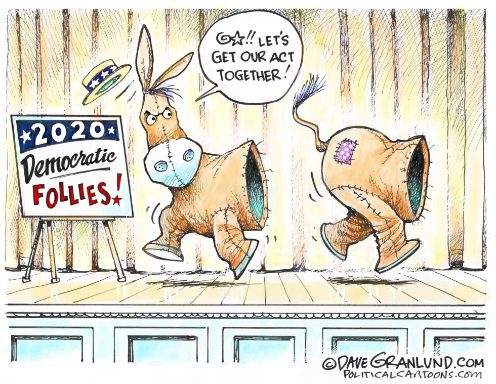  DEMOCRATS APART 2020 by Dave Granlund