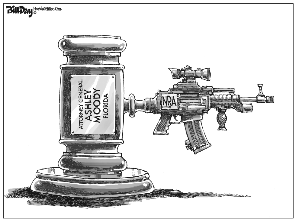  NRA POWER IN FLORIDA by Bill Day