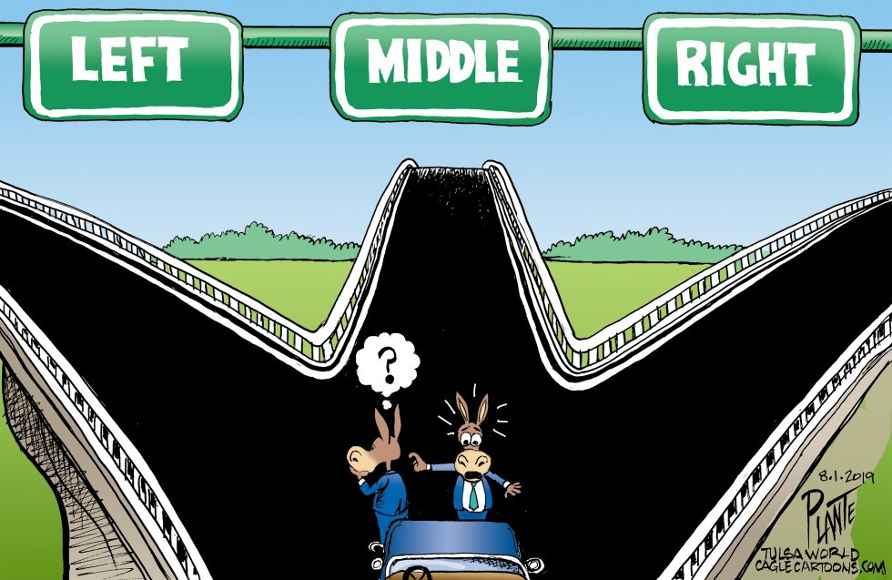  WHICH WAY DEMS by Bruce Plante