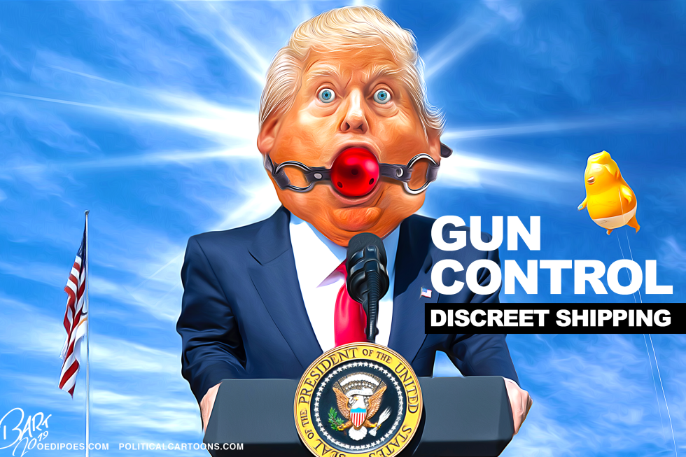 GUN CONTROL by Bart van Leeuwen