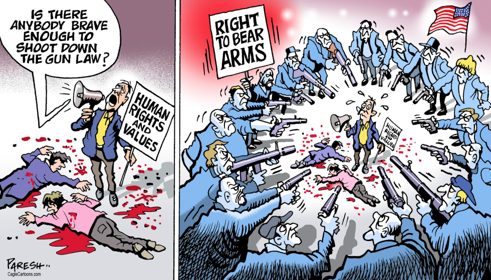  AMERICAN GUN LAW by Paresh Nath