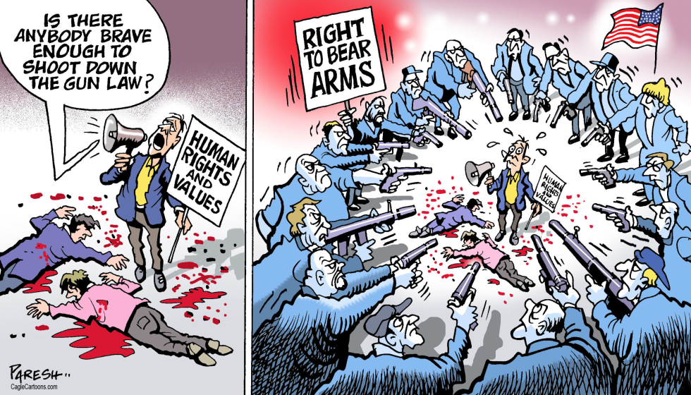 AMERICAN GUN LAW by Paresh Nath