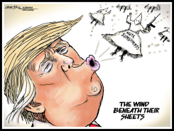 TRUMP WIND by J.D. Crowe