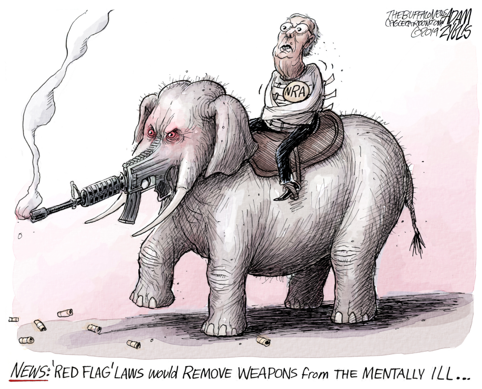 Red Flag laws