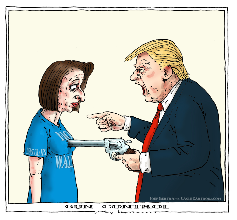 gun control