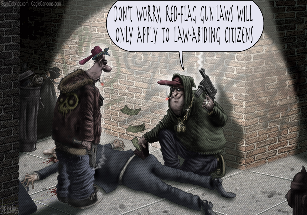 Gun Laws