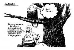 ENDANGERED SPECIES AND IMMIGRATION by Jimmy Margulies