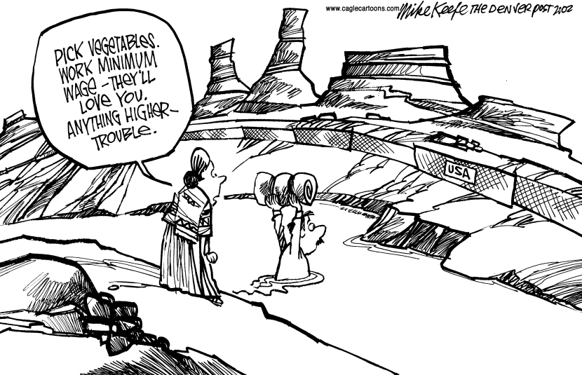 Illegal Immigration