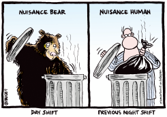 NUISANCE BEAR AND HUMAN PROBLEM by Ingrid Rice