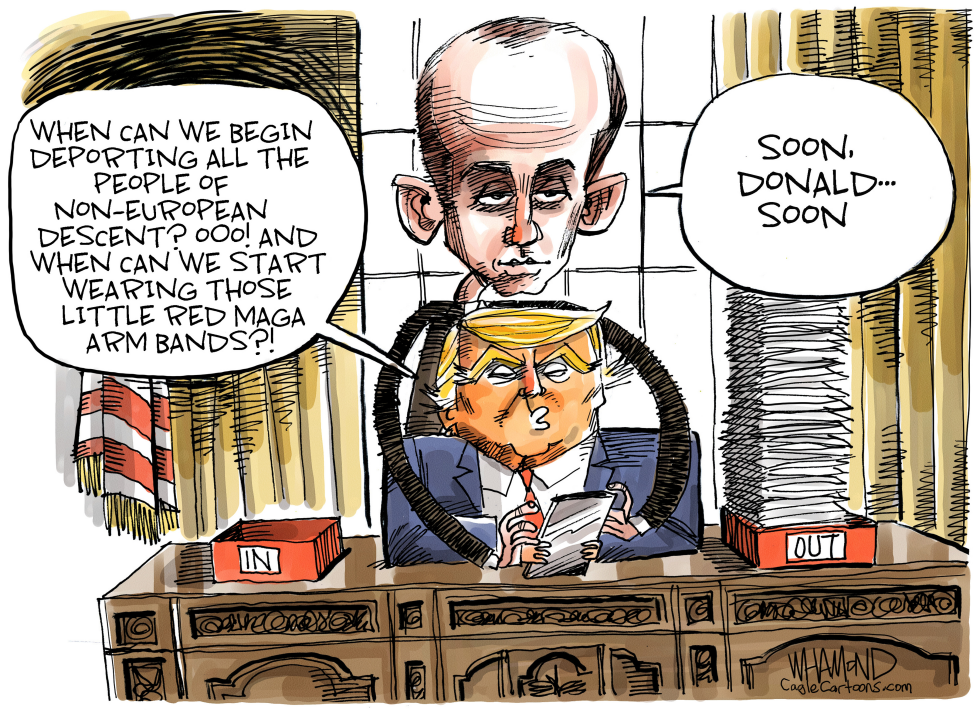  THE STEPHEN MILLER SHOW by Dave Whamond