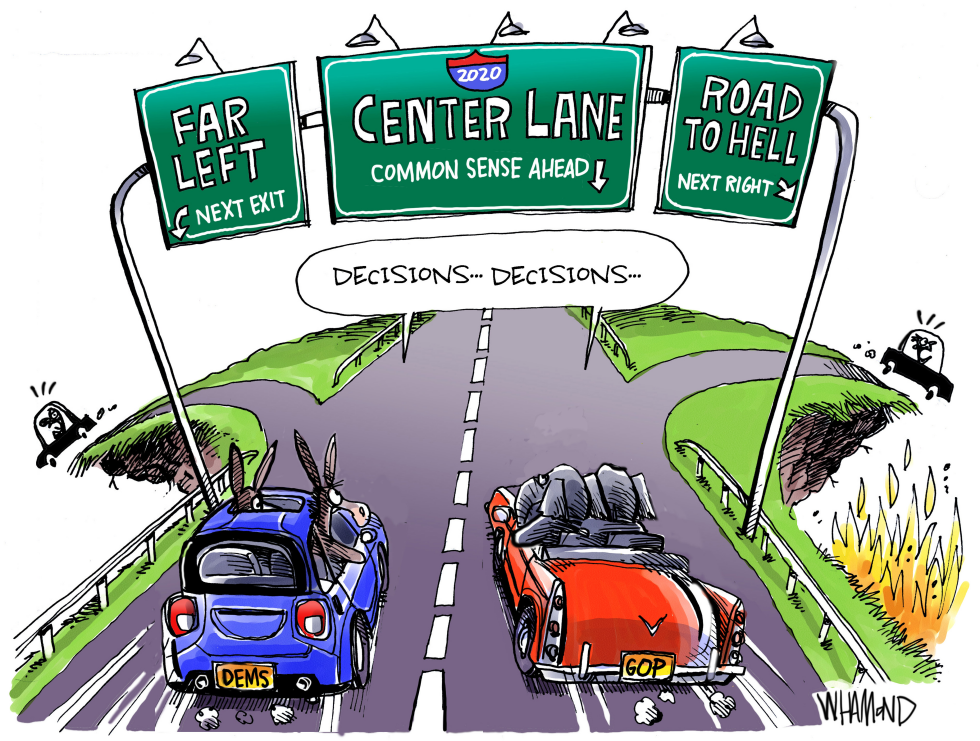  2020 DECISIONS by Dave Whamond