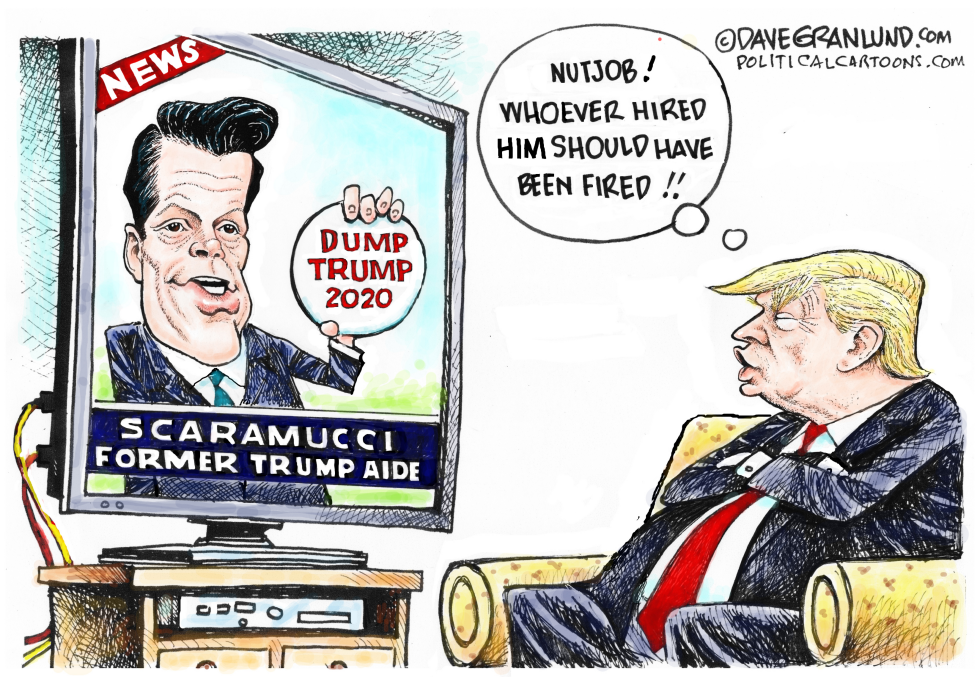  SCARAMUCCI AND DUMP TRUMP by Dave Granlund