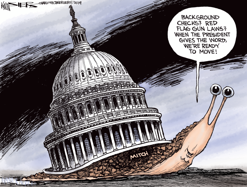 Mollusk Mitch