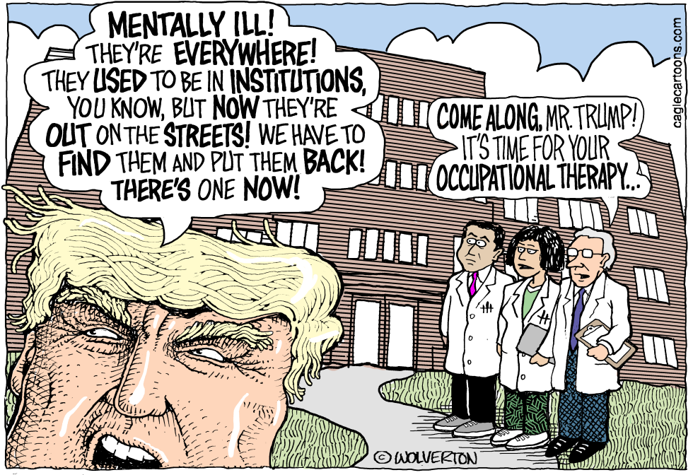  MENTAL INSTITUTIONS by Wolverton