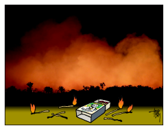 AMAZONE BURNING by Arend Van Dam