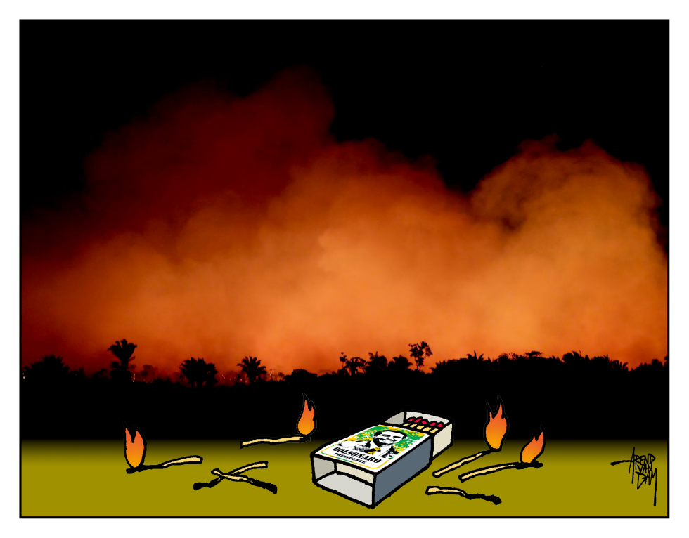Amazone burning