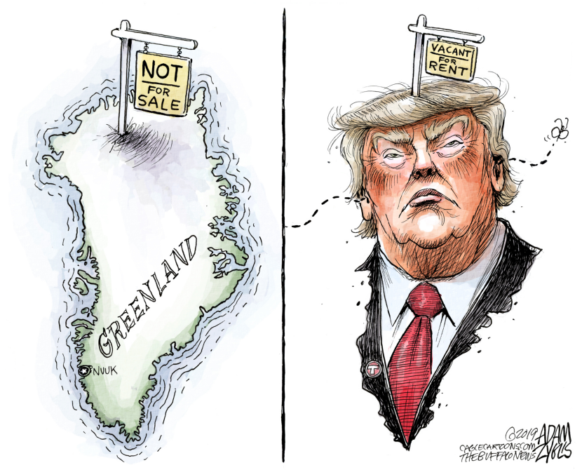 Political real estate