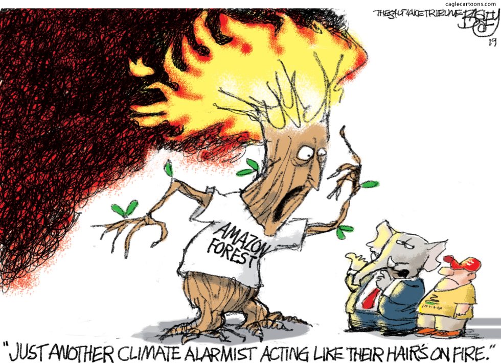  AMAZONIAN FIRES by Pat Bagley