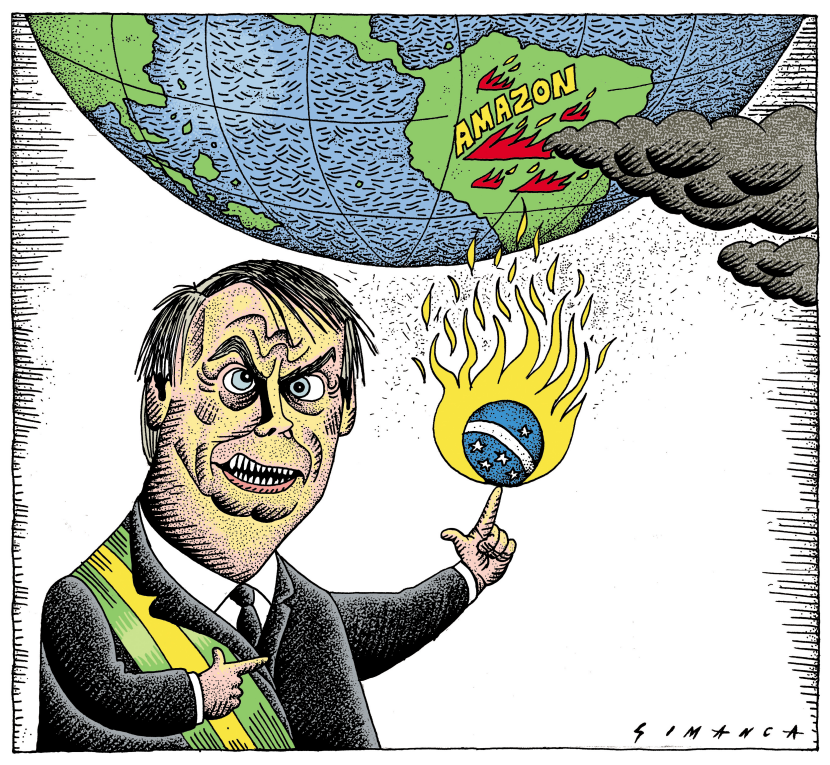 Amazon Rainforest Wildfires
