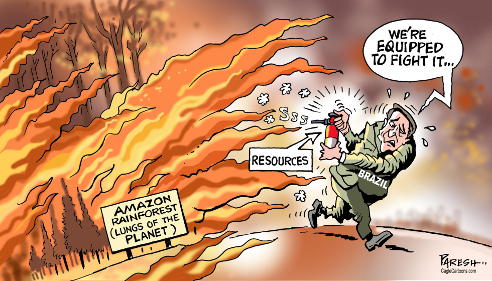  AMAZON FIRES by Paresh Nath