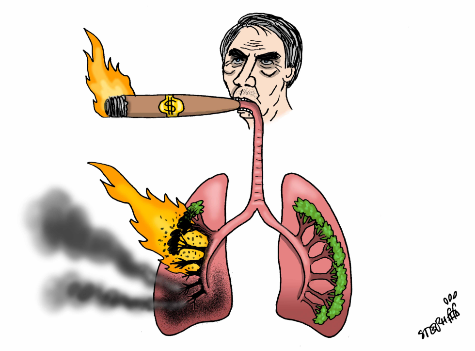 Amazonian Lungs