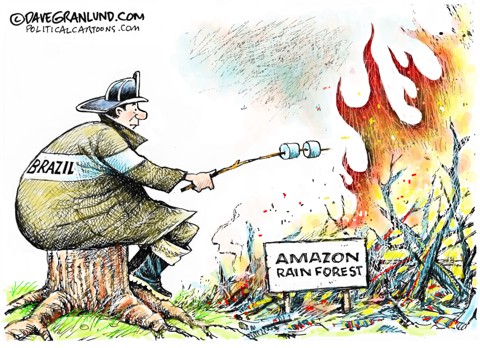  AMAZON RAIN FOREST FIRE by Dave Granlund