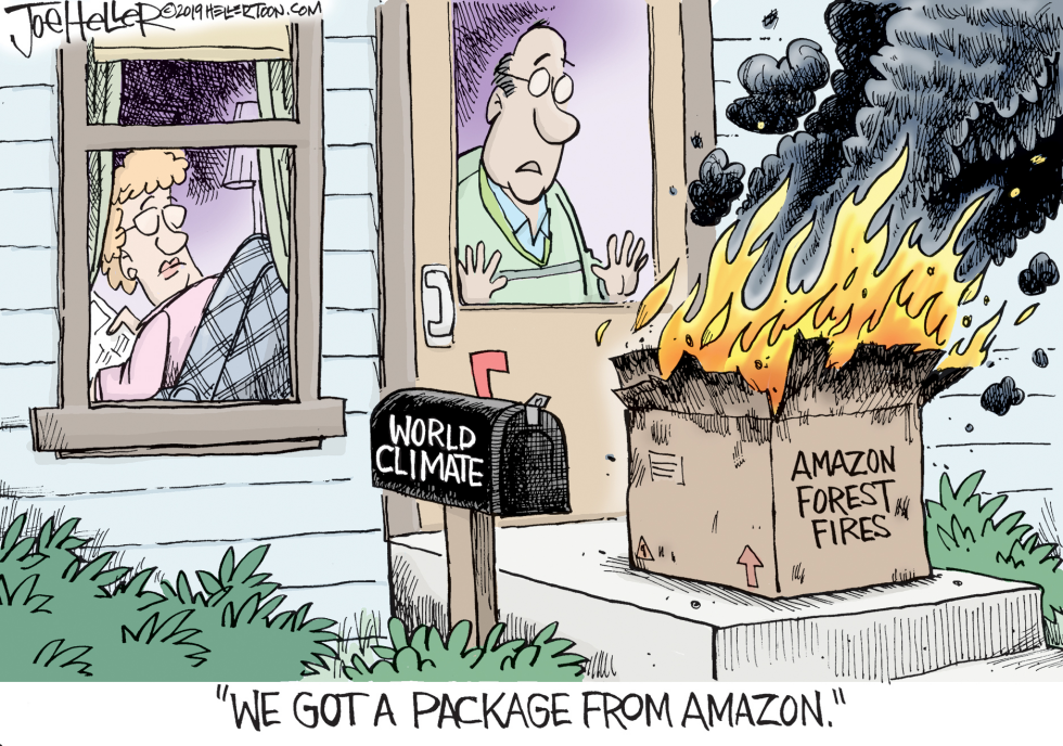 Amazon Fires