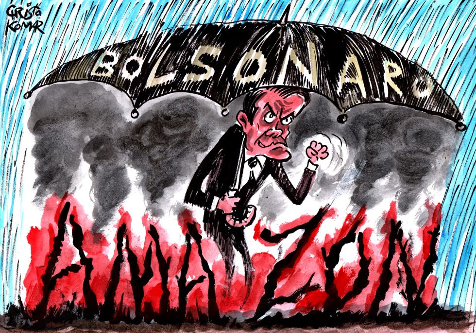 Bolsonaro and Amazon fires