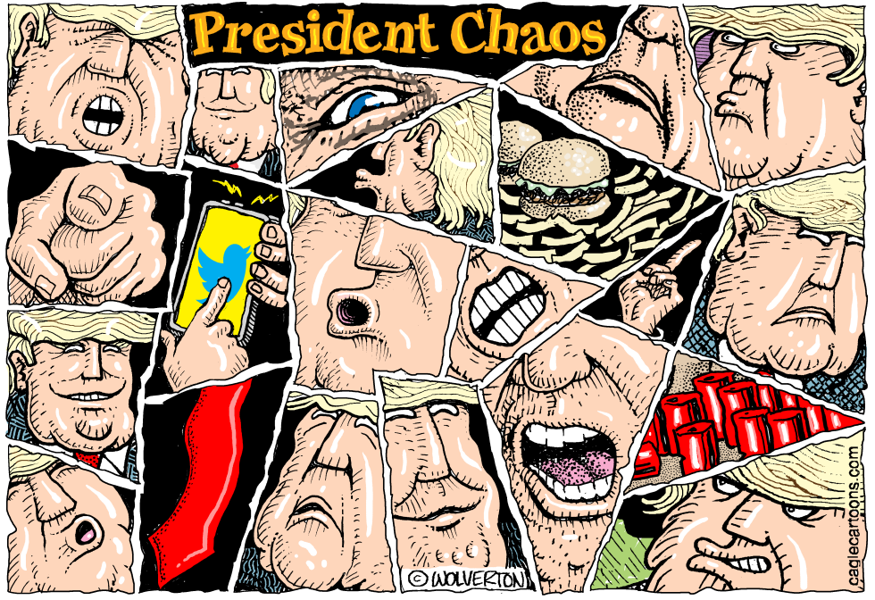  PRESIDENT CHAOS by Wolverton